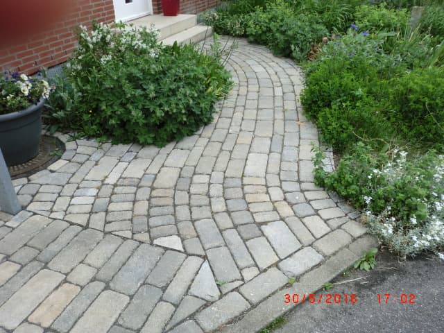 Einleitungsbild für Service & Pflege