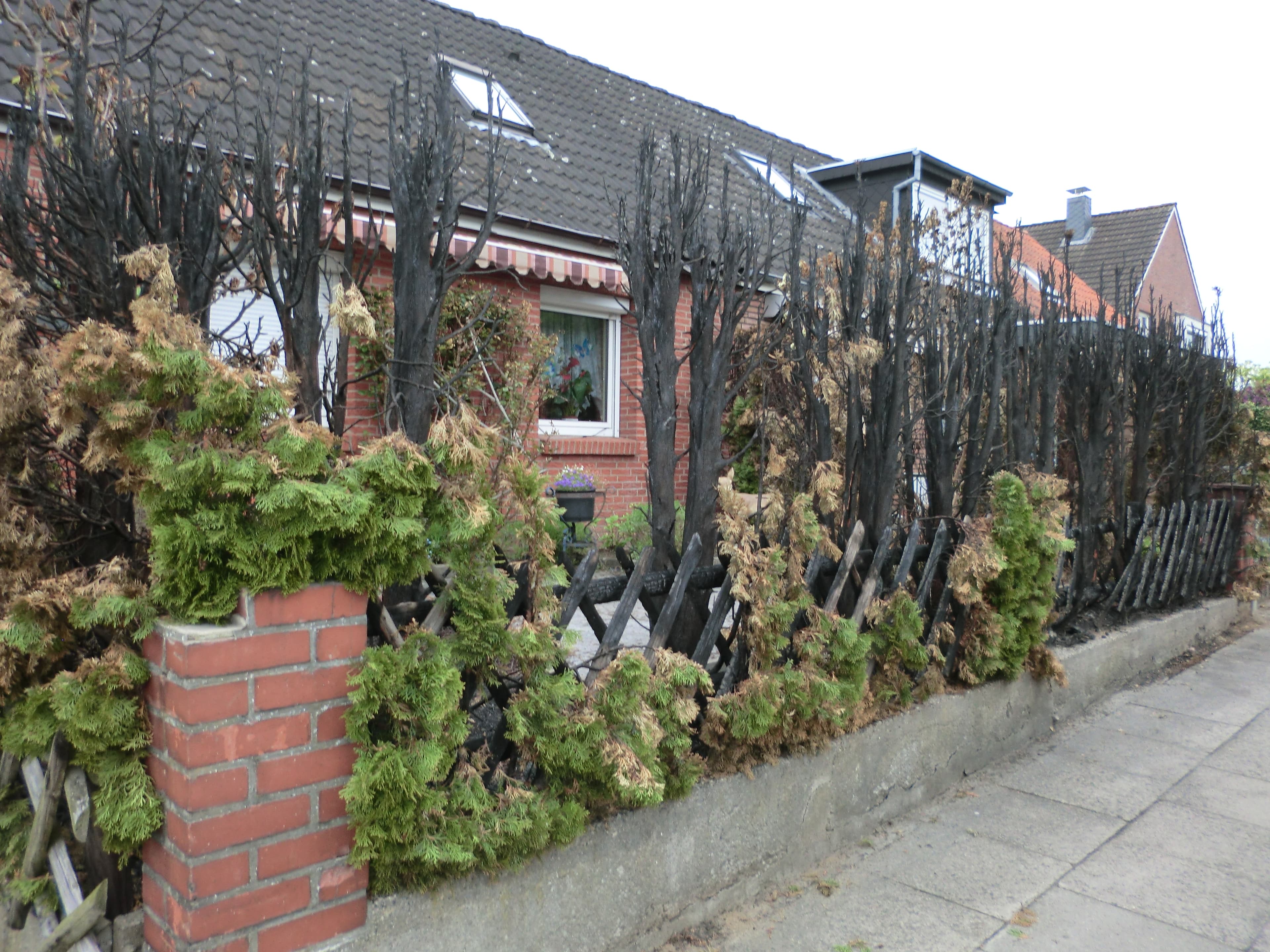 Galeriebild für Service & Pflege